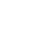 Github Icon